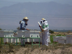 Apicultores trabajando en el APIHOTEL