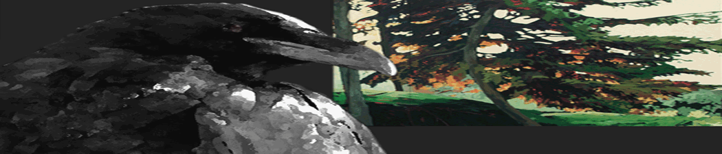 Raven\