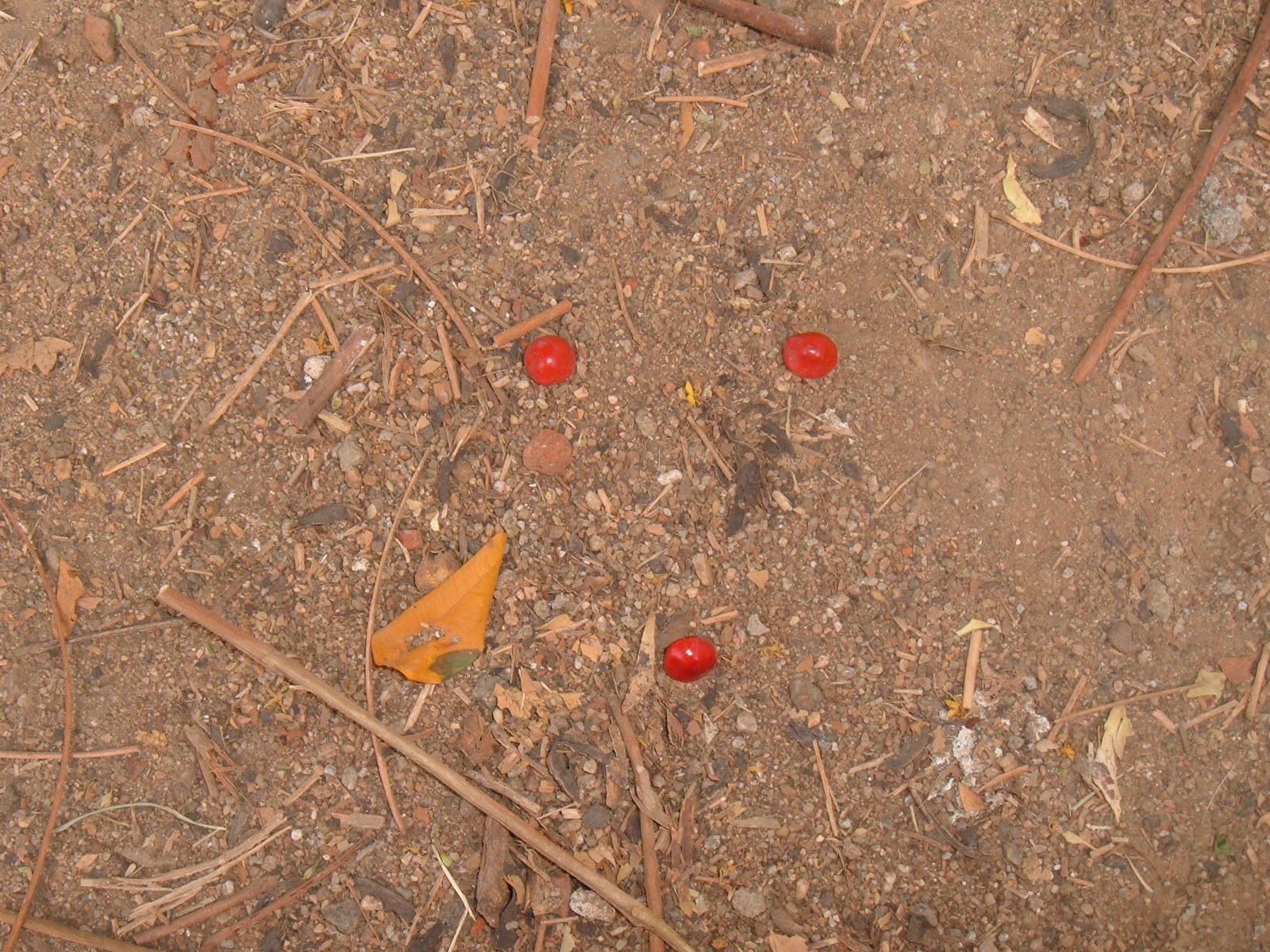 [DSCF3418.JPG]