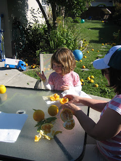 Steingruebl World Enterprises Our Big Backyard