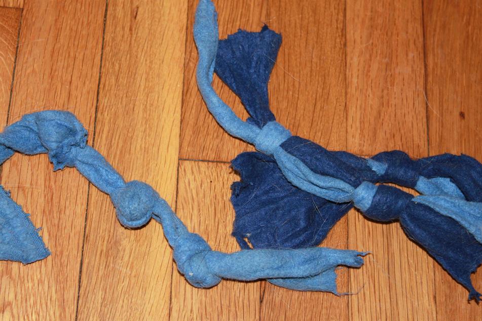 Lauren Losefast make your own dog toy.