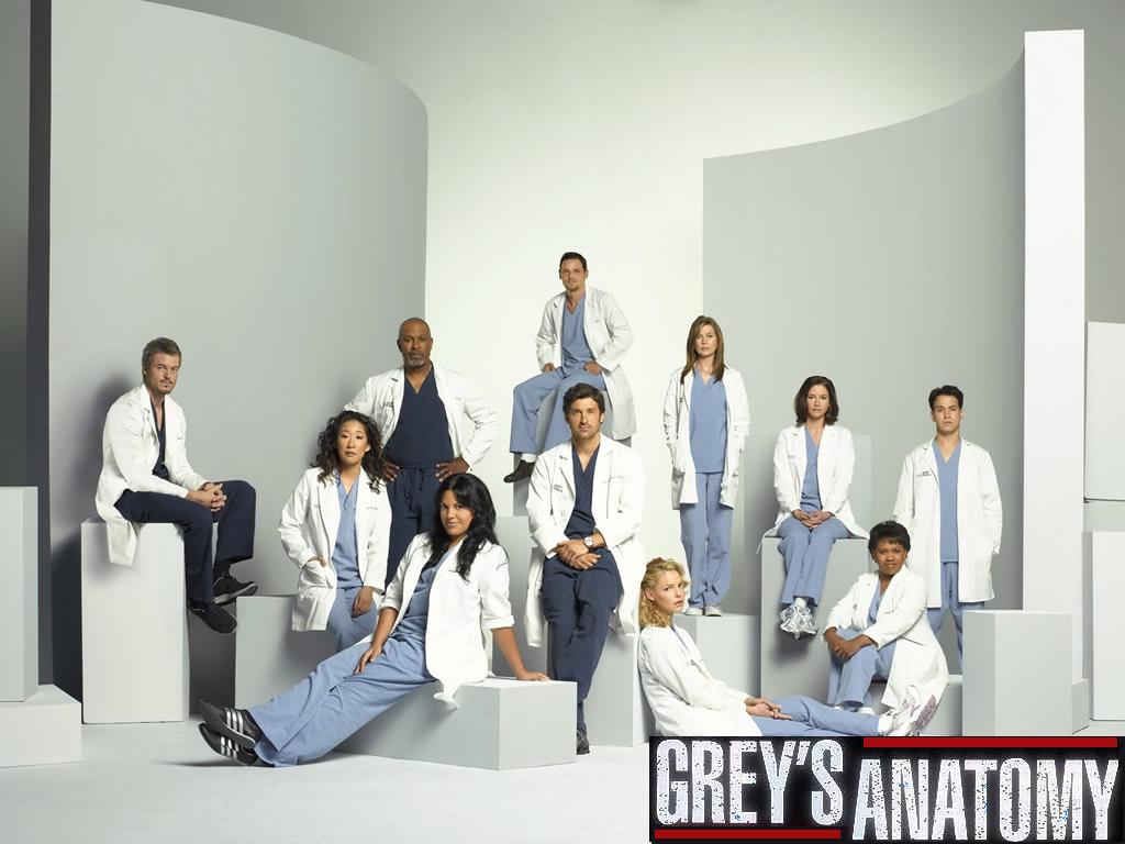 Grey's Anatomy TV Show: Cast of Grey's Anatomy1024 x 768