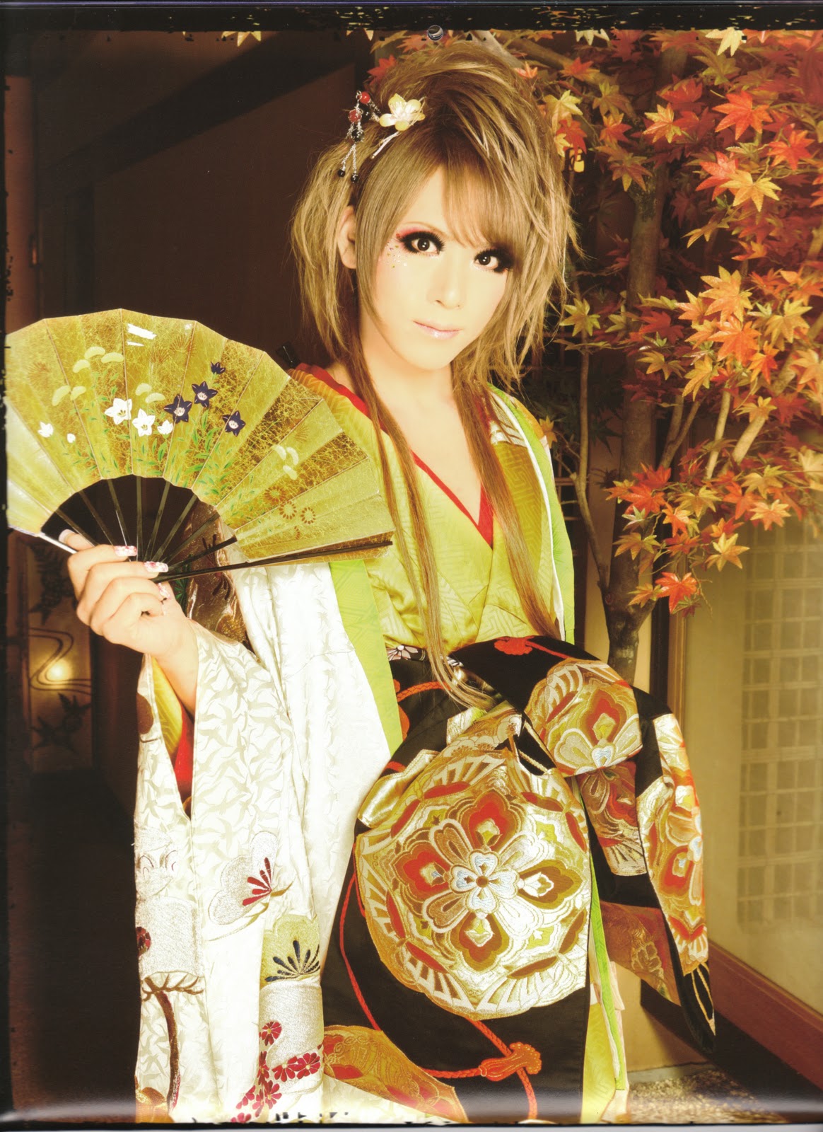 Hizaki Kimono