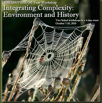 A Tese da Complexidade Irredutível Spider+web+-+FranceHouseHunt.com