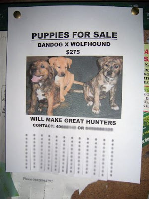 Puppies And Dogs For Sale. puppies and dogs for sale. Puppies And Dogs For Sale.