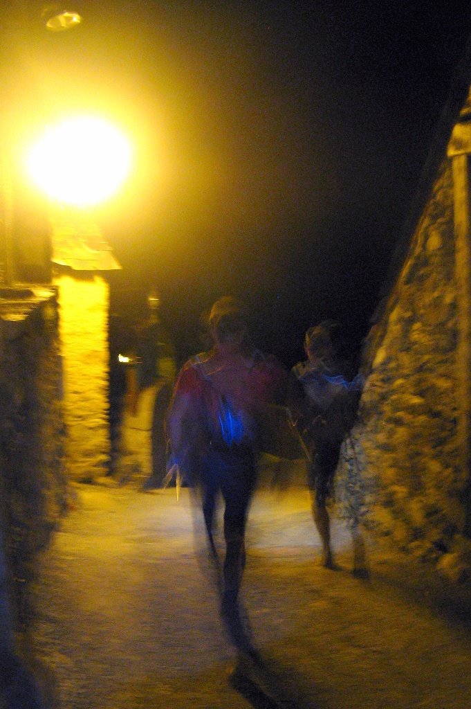 [IMG_0949.JPG]