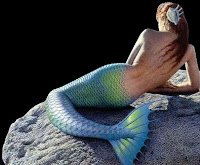 imagini sirene