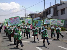 SEMANA FORESTAL 2008