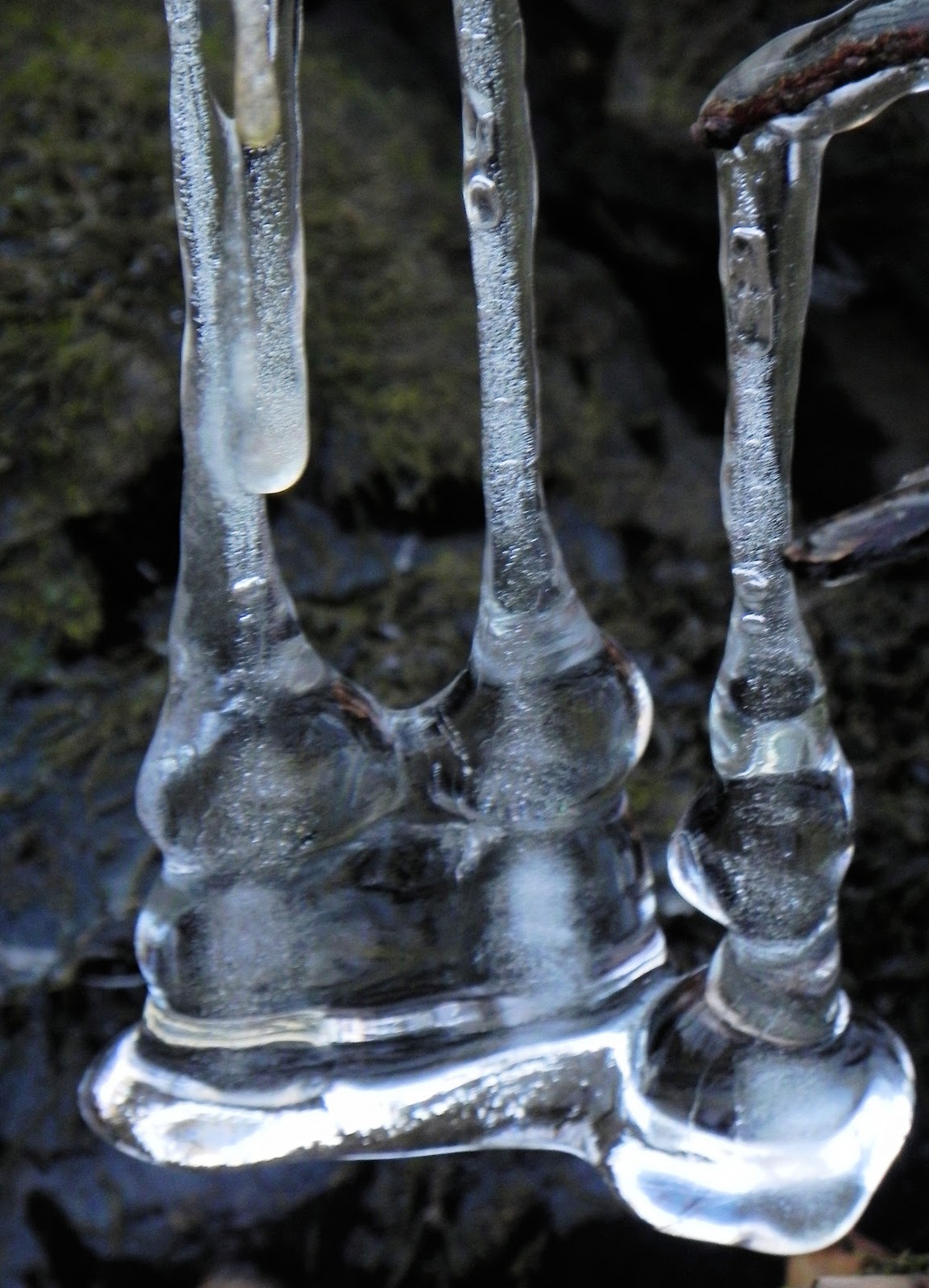 ice forms