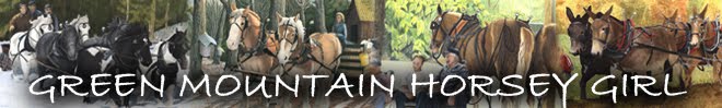 Green Mountain Horsey Girl