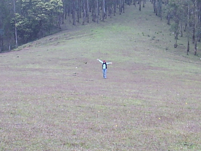 I wandered lonely as a cloud  over the valleys and the hills...