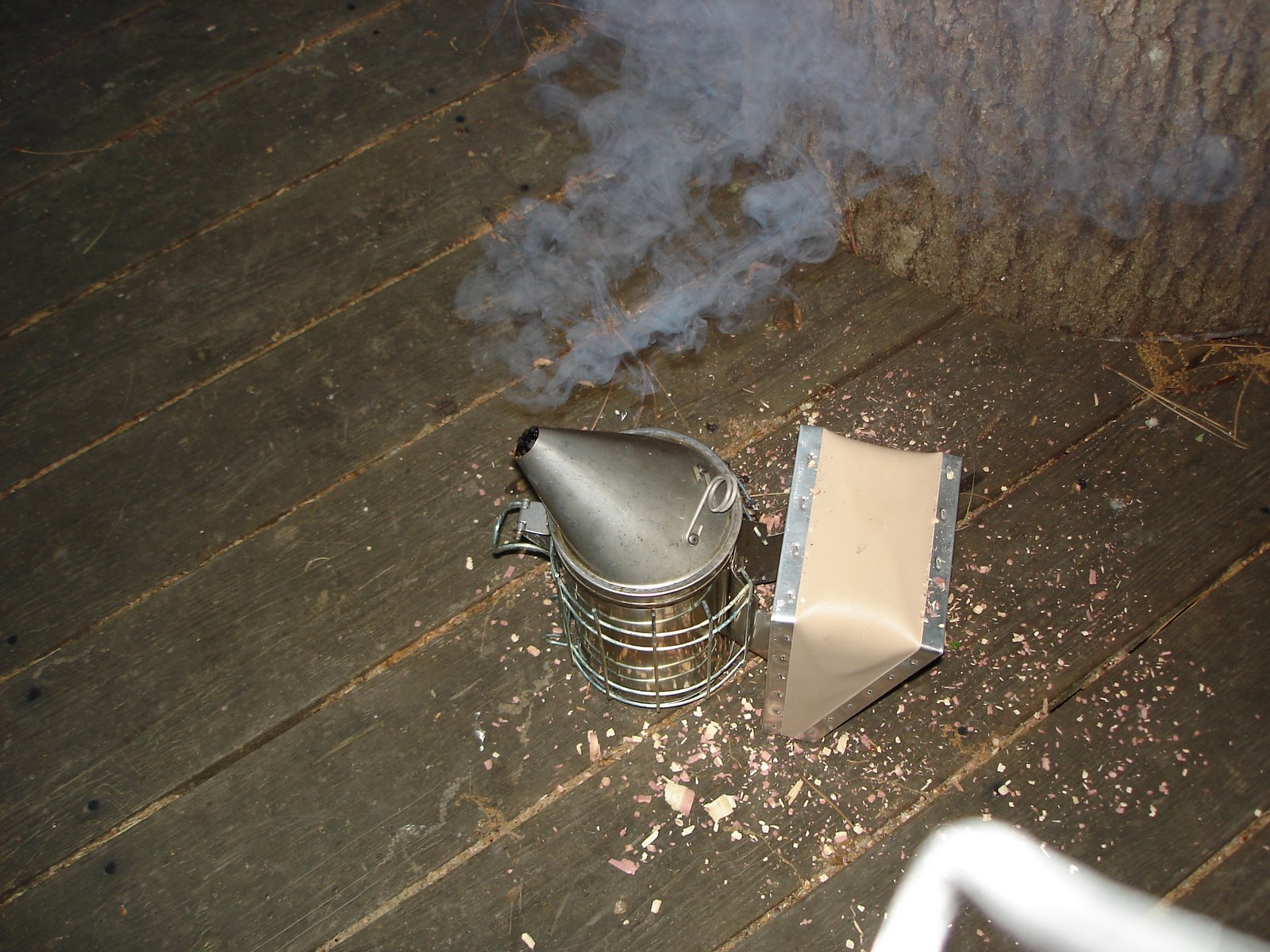 [DSC00834.JPG]