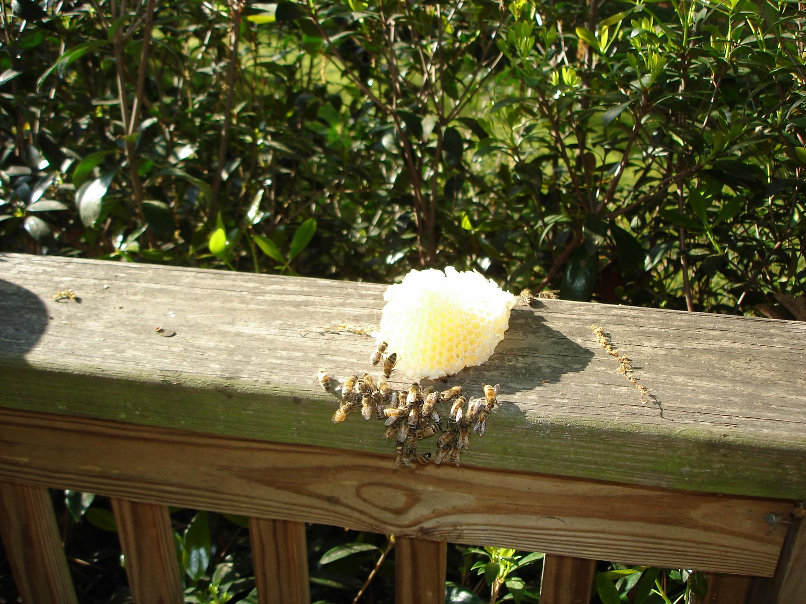 [DSC03046.JPG]