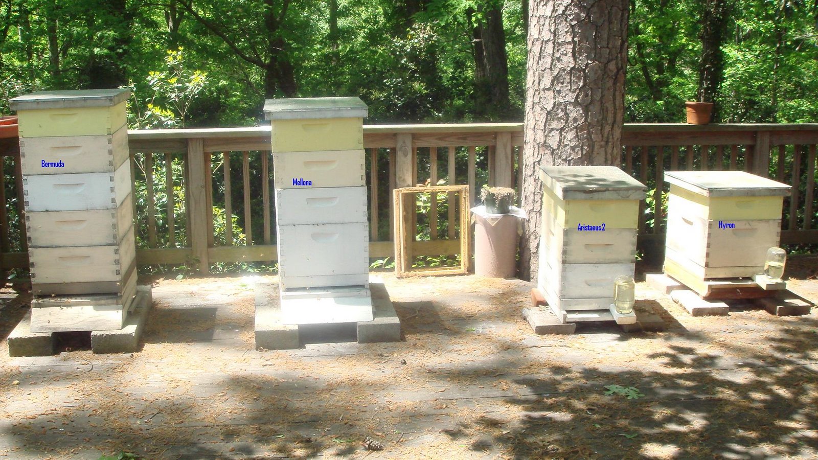 [DSC03683label.JPG]