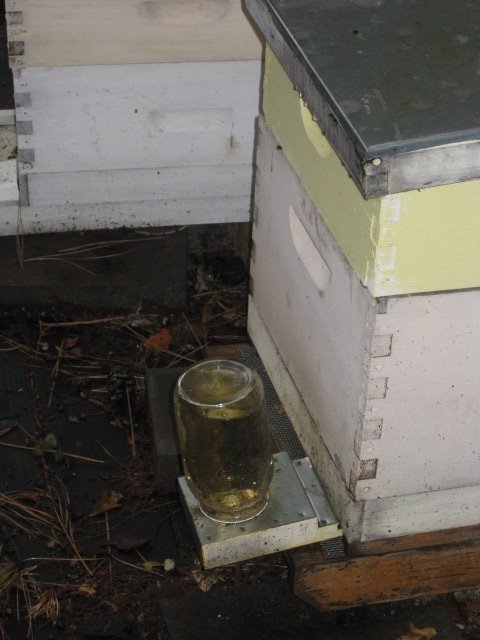[IMG_0187.JPG]