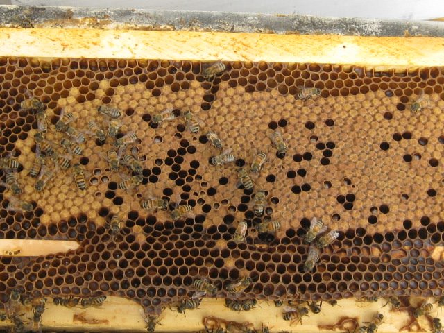 [Wax+2008+032.jpg]