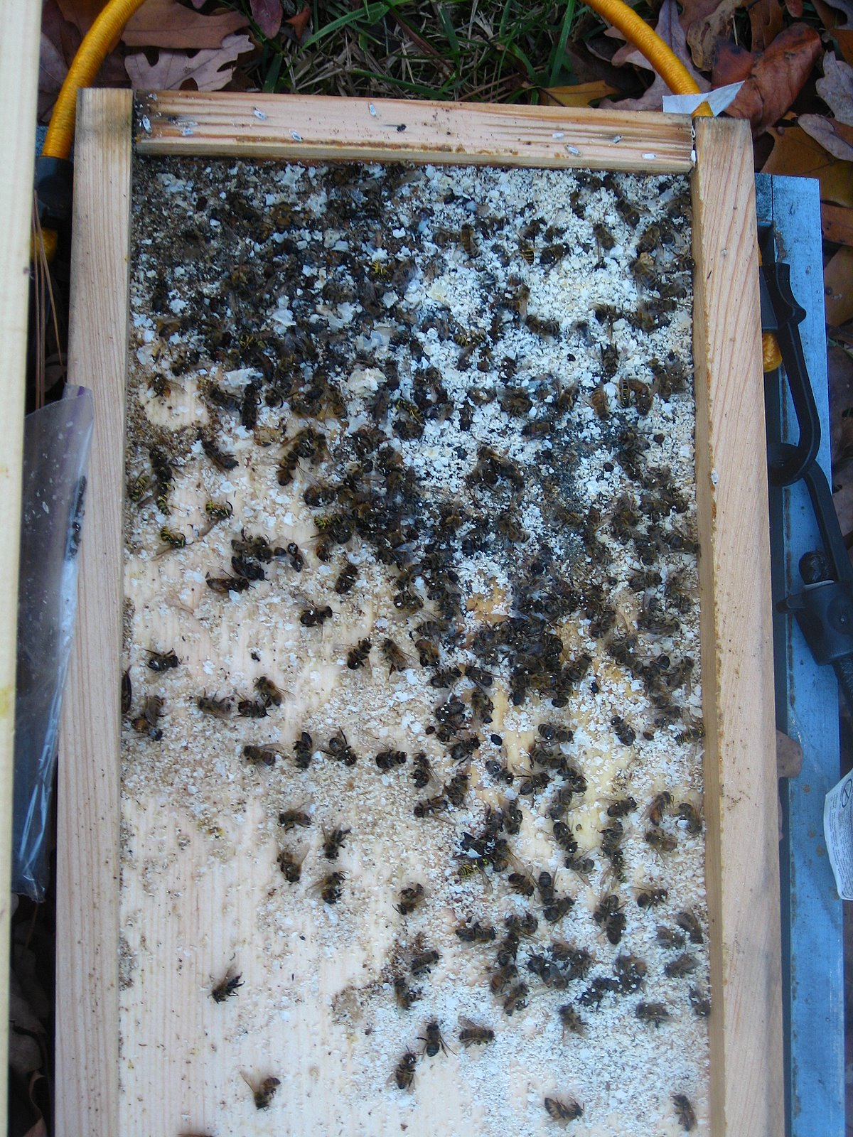 [Wax+2008+002.jpg]