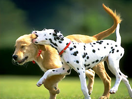 Os animais, são amigos das crianças.