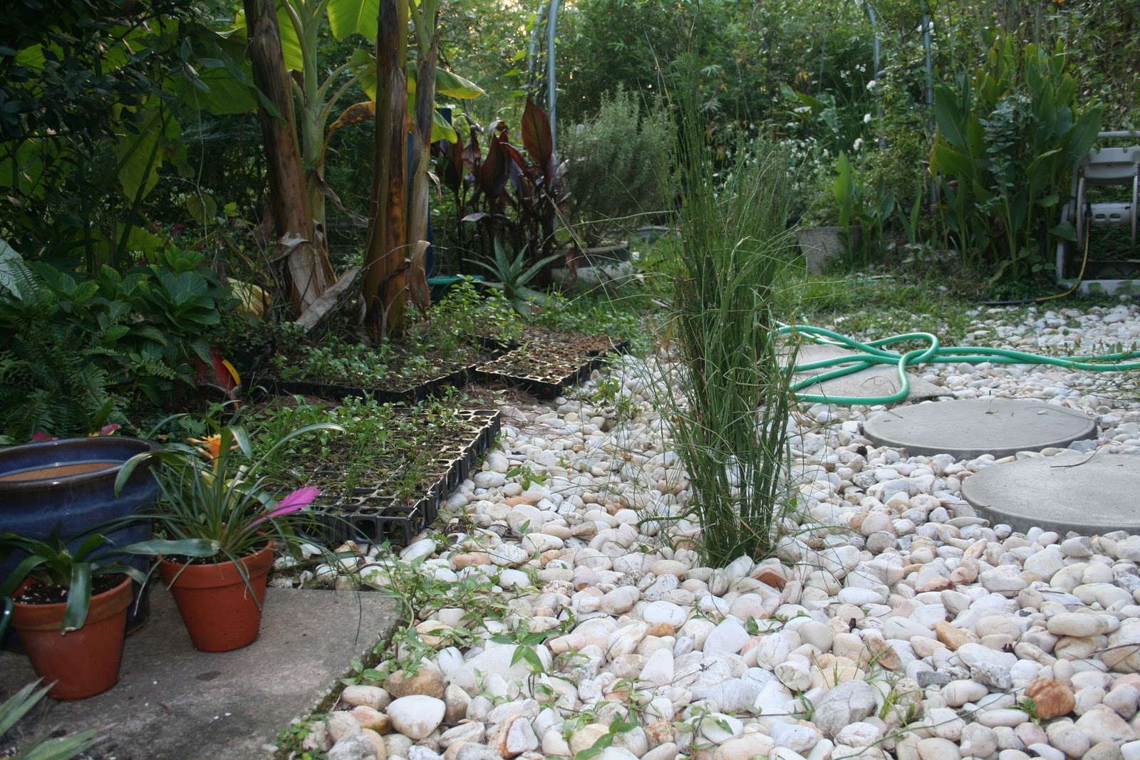 Florida Green & Sustainable BMPs Horsetail InLine Wetland Wetlands