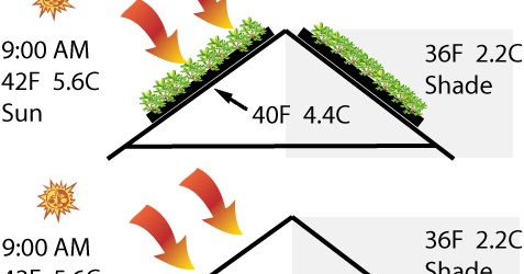 Nature by Kevin Songer: Green Roofs - Slow Absorption ... solar roof shingles diagram 