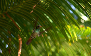 Thank goodness for 51 auto focus points and 3D dynamic tracking.