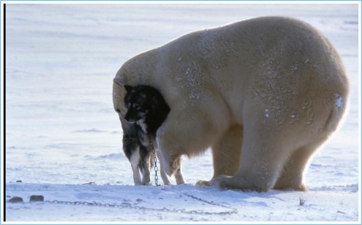[image005.jpg]