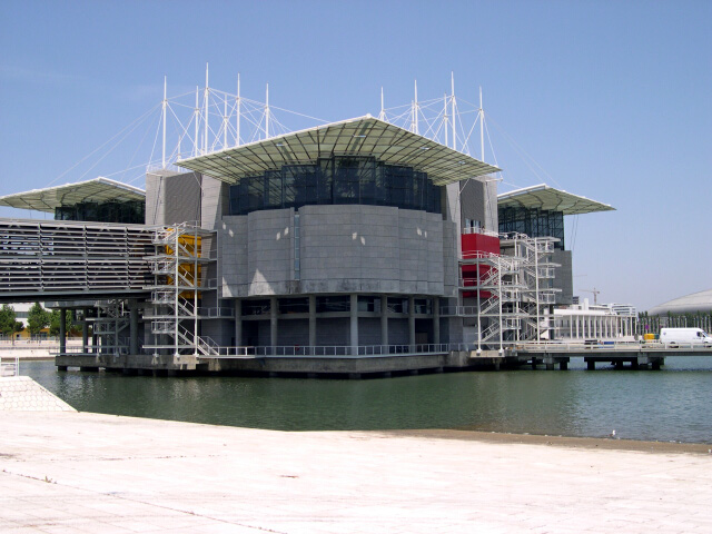 [OCEANARIO1.jpg]