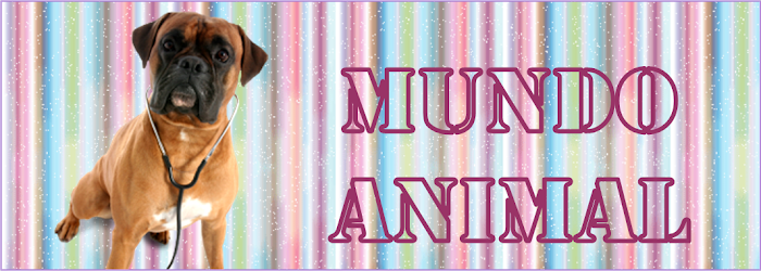 Mundo Animal