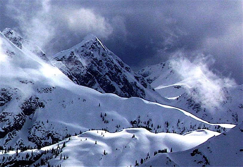 Snowy Mountain Alpine Tours