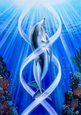 Love of Dolphins Pictures Love of Dolphins Pictures