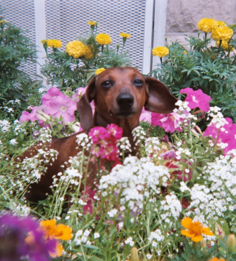 [Photo+14+of+27.jpg]