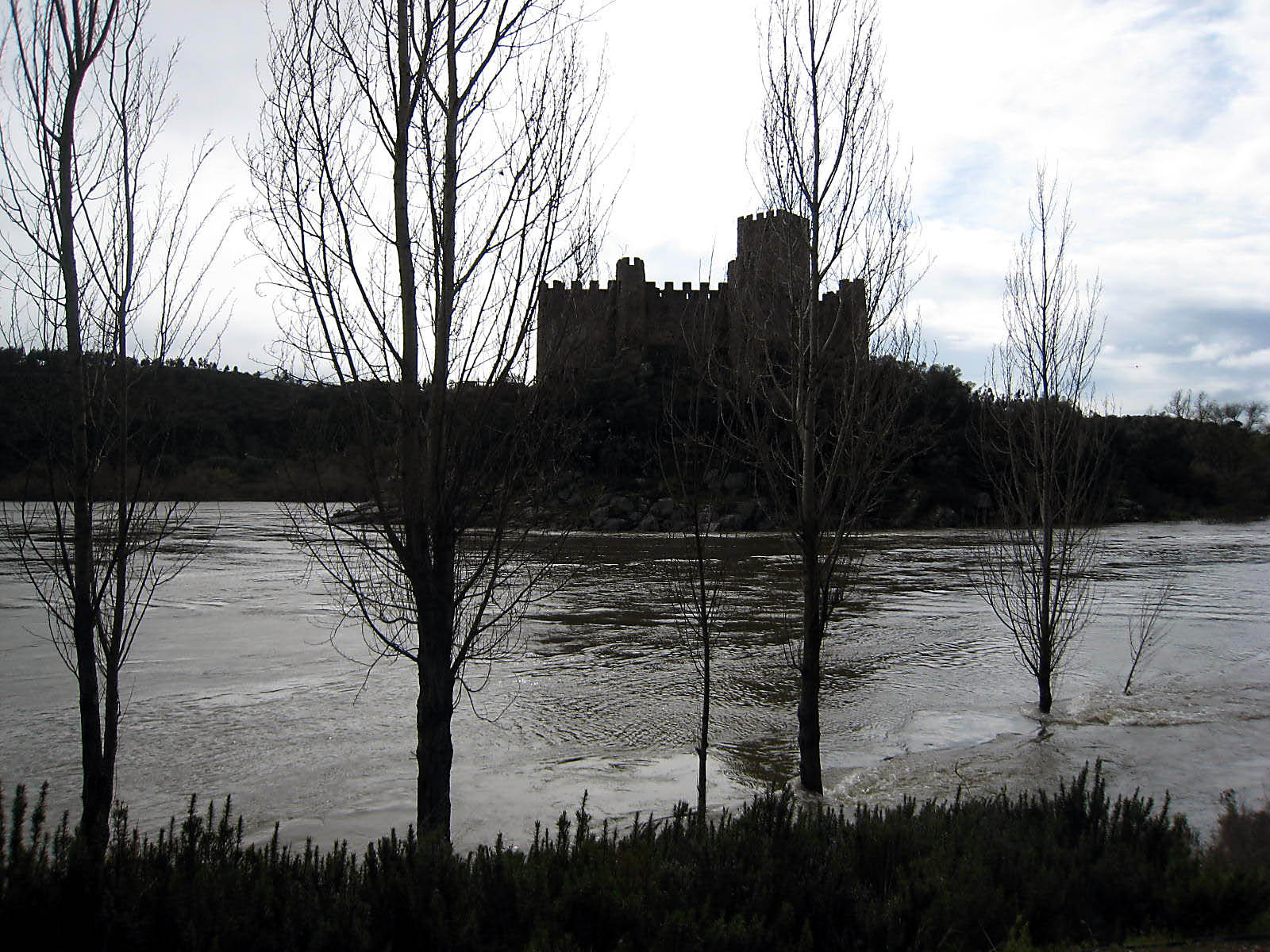 [IMG_2075_edited.JPG]