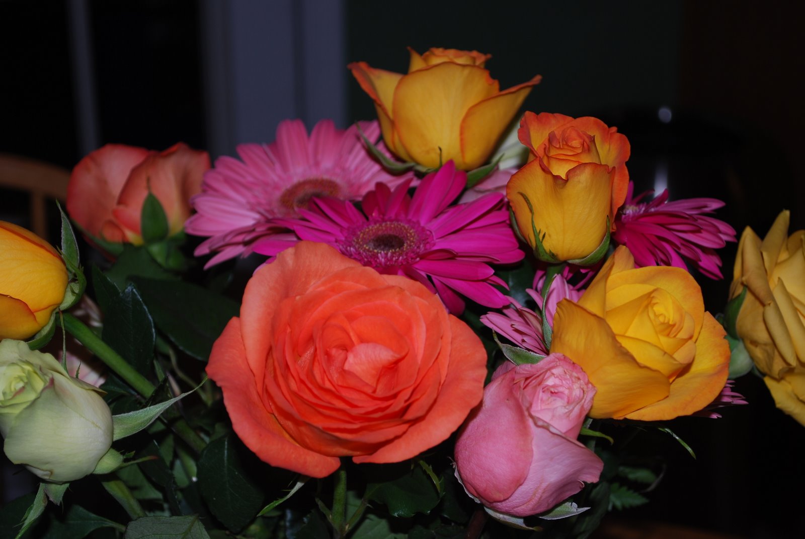 [DSC_1097.JPG]