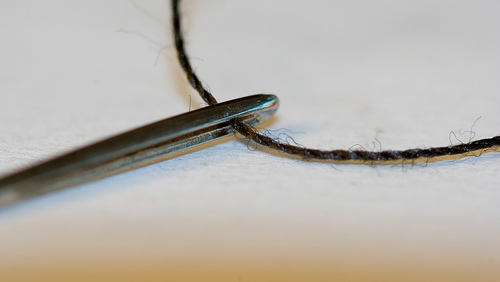 [needle+&+thread.jpg]