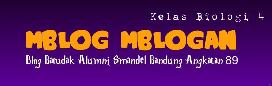 Mblog Mblogan 2009