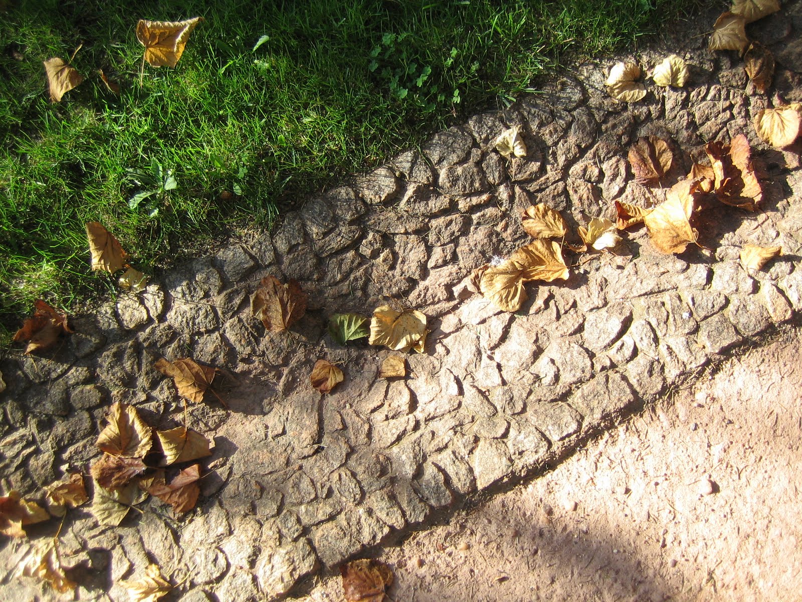 [IMG_6458.JPG]