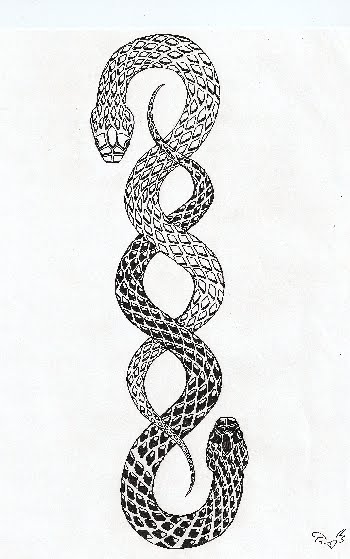1000 Images About Snake Tattoo Idea Reference On
