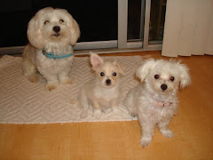 The Kids