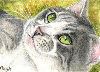 FUR IN THE PAINT Grey and White Cat in mixed Media