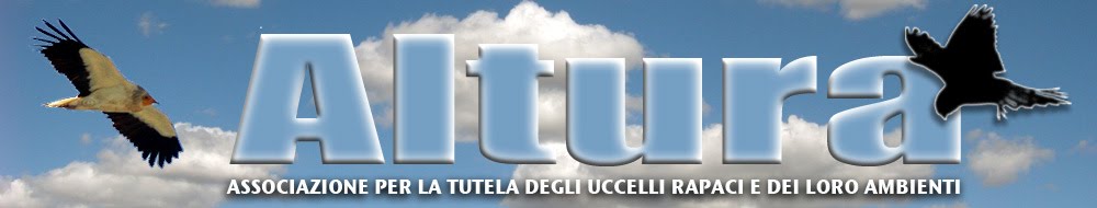 ALTURA NEWS