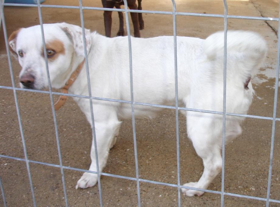 [NÂº.2+-+Piloto.JPG]