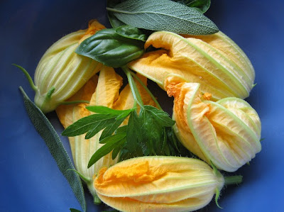 Fresh Squash