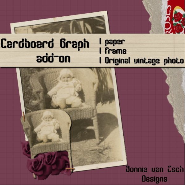 [BvanEsch-Cardboard+Graph+addon-preview.jpg]