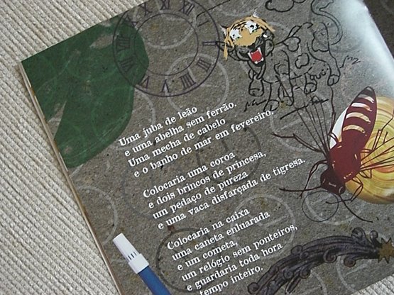 [rinocerontedobrado4.jpg]