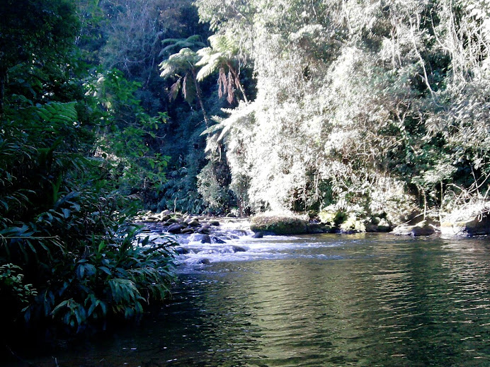 Piscina Natural-Um mergunho na natureza