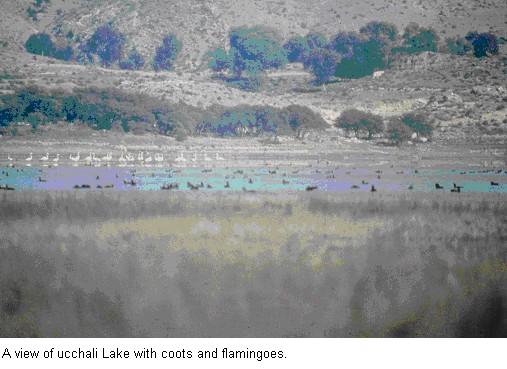 [pic_ucchali-lake+salt+ranges.jpg]