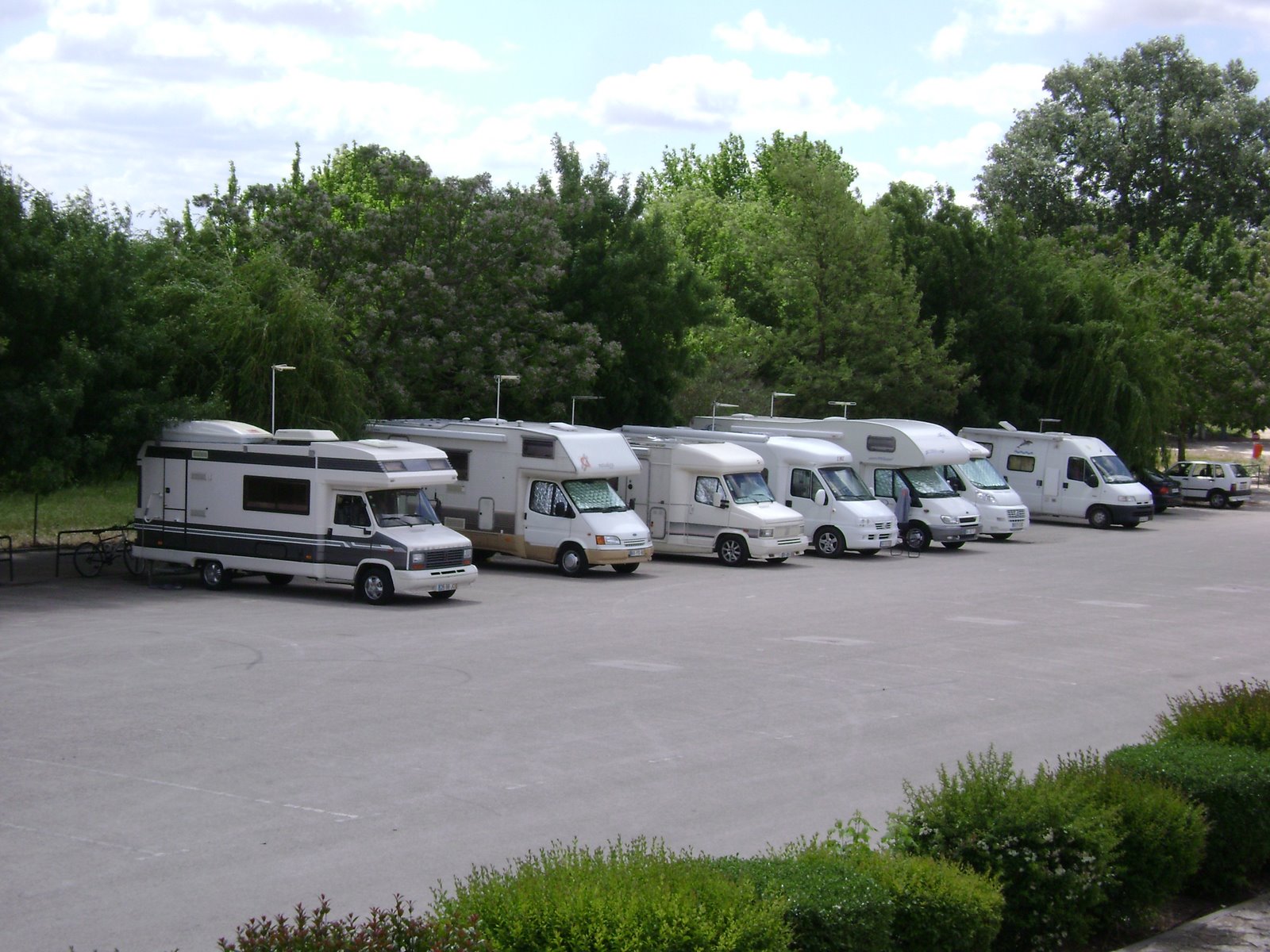 [DSC06613.JPG]