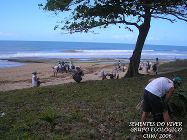 Limpeza de Praia