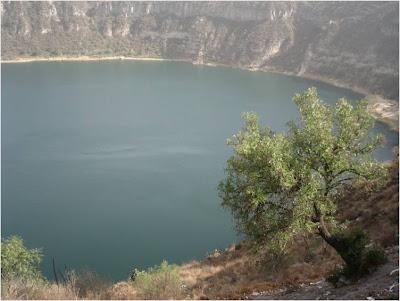 Domingos y días festivos Aljojuca