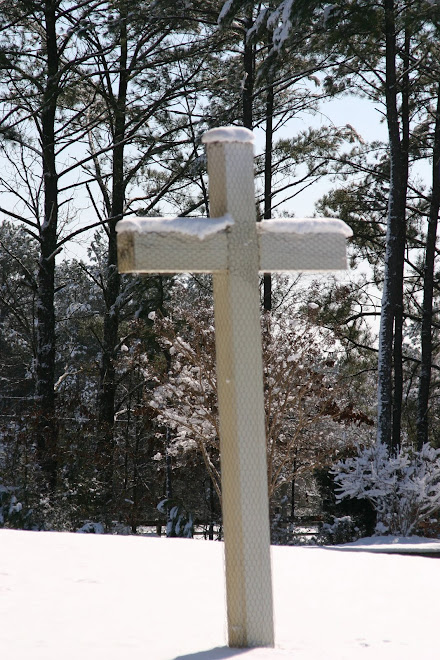 The Cross in the snow